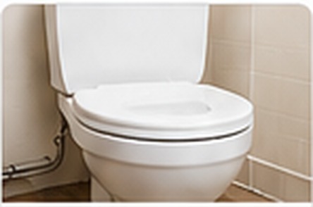 Toilet fixture for clogged toilet service
